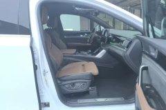 2022 BYD Tang PHEV 2021 1.5T AT DM-i 112KM Honor #8