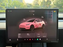 2022 Tesla Model Y 2022 PerformancehighPerformanceall wheel driveEdition #18