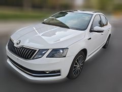 2019 Škoda Octavia 2019 1.5 AT Luxury #1