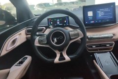 2024 BYD Seagull 2024 Glory 405KM flyEdition #15