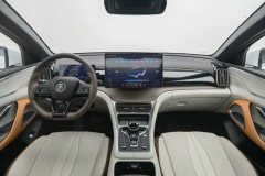 2022 BYD Song Pro PHEV 2022 DM-i 110km AT FlagshipPro #14