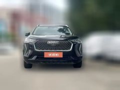 2021 Haval Chulian 2021 1.5T AT Large4Edition #2
