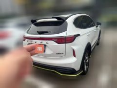 2022 Haval Chitu 2022 Power Enjoy 1.5T AT Copper Rabbit #2