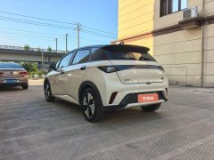 2024 BYD Dolphin 2023 420km freeEdition #7
