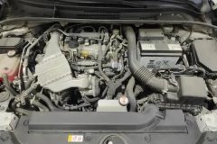 2020 Toyota Levin 2019 1.2T AT 185TLuxury China VI #10