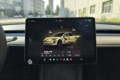 2022 Tesla Model 3 2022 rear wheel driveEdition #13