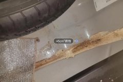 Trunk Floor