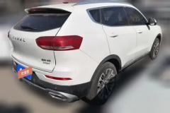 2020 Haval H6 2020 2.0T AT PlatinumChampion #3