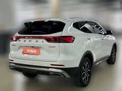 2023 Haval H6 2021 1.5T AT China tideUrbanEdition #18