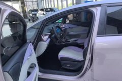 2022 BYD Dolphin 2021 405km Fashion #9