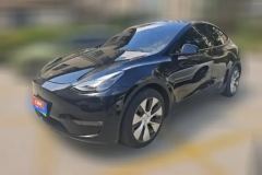 2021 Tesla Model Y 2021Long Rangeall wheel driveEdition 3D7 #1