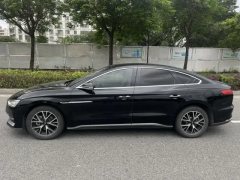 2021 BYD E9 2022 Business #8