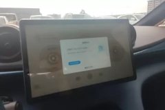 2022 BYD Dolphin 2021 401km knightEdition #13