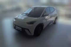 2024 BYD Seagull 2025 305km vitalityEdition #1