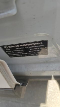 2024 Dongfeng Fengshen Dongfeng Fengshen SKY EV01 2023 445km PRO #8