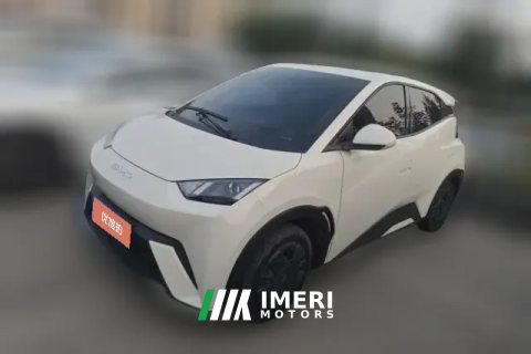2023 BYD Seagull 2023 vitalityEdition