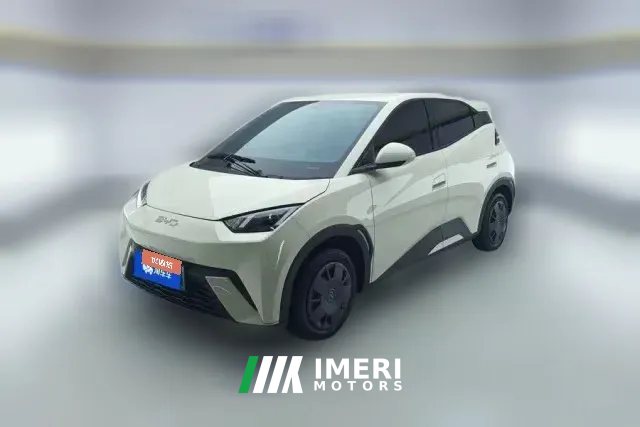 2024 BYD Seagull 2024 Glory 305km vitalityEdition
