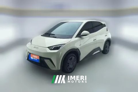 2024 BYD Seagull 2024 Glory 305km vitalityEdition