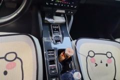 2023 Honda e:NP1 2023 510km Extremely bloomingEdition #16