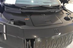 2025 Zeekr 009 2024 6SeatExecutive4WD 108kWh #10