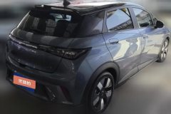 2023 BYD Dolphin 2023 401km knightEdition #3
