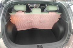 2022 BYD Dolphin 2021 405km Fashion #4