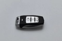 2019 Haval H6 Coupe 2019 1.5T AT SuperHaoSmart ConnectFWD #10