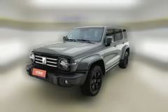 2022 Tank 300 2021 CityEdition 2.0T AT must #1