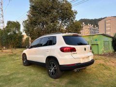 2014 Volkswagen Tiguan 2013 1.8T AT Luxury FWD #29