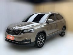 2021 Škoda Kamiq 2020 1.5 AT Comfort #1