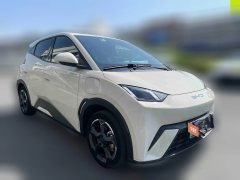 2023 BYD Seagull 2023 freeEdition #3