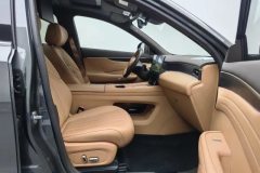 2025 Dongfeng Fengshen Dongfeng Fengshen L8 2025 185KMdreamEdition #22