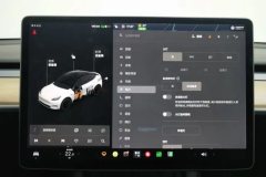 2021 Tesla Model Y 2021StandardBattery lifeRWDEdition #24