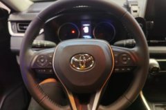 2023 Toyota Wildlander 2023 2.0L AT CVT2WDLuxuryPLUSEdition #15