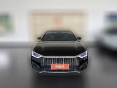 2022 BYD E9 2022 Business #2