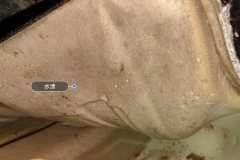 Right Front Carpet