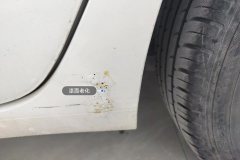 Left Rear Fender