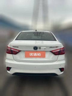 2019 Chang'an Eado DT 2018 1.6 MT Smart #5