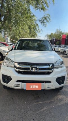2021 Great Wall Fengjun 7 2021 2.0T MT Gasoline2WDSuper ValueLarge Double CabGW4C20B #13