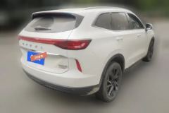 2023 Haval H6 2021 2.0T AT No.3generation2WDMax #3
