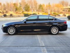2015 BMW 5 Series 2014 2.0T AT 525LiLeading #6
