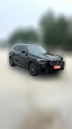2020 BMW X5(Imported)(Imported) 2020 2.0T AT 30i MSport Pkg (Imported) #4