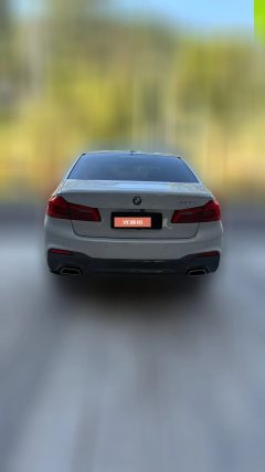2019 BMW 5 Series 2019 2.0T AT 530LiExclusiveMSport Pkg #3