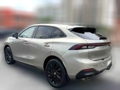2022 Dongfeng Fengxing Fengxing T5 Evo 2021 1.5TD AT DCTPlatinum #7