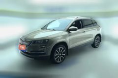 2020 Škoda Karoq 2020 TSI280 AT Smart DriveTech China VI #1