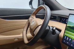 2025 Dongfeng Fengshen Dongfeng Fengshen L8 2025 185KMdreamEdition #23