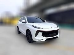 2021 Dongfeng Fengxing Fengxing T5 Evo 2021 1.5TD AT DCTStar #2