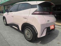 2024 BYD Seagull 2023 vitalityEdition #11