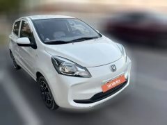 2022 Chang'an Benben E-Star 2021 China civilEdition Colorful LFP（31.86kWh） #2