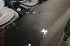 Windshield